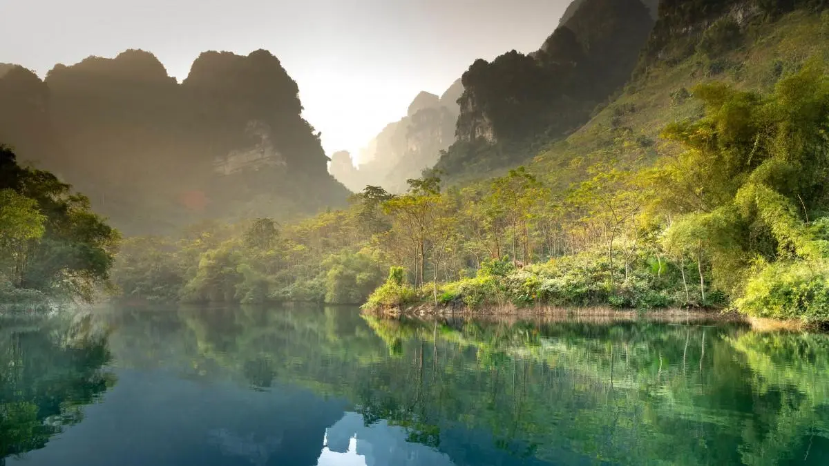 先进全自动创意